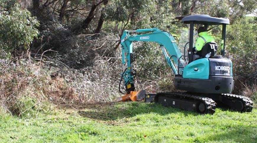 Vineyard-1 Vineyard-1