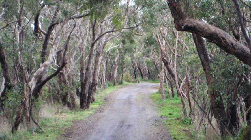 Jacobs Road - After Clearing1 Jacobs Road - After Clearing1