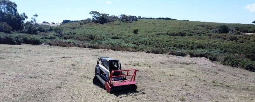 Invasive-Specie-Skid-Steer-Mulcher